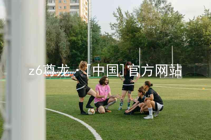 z6尊龙·[中国]官方网站